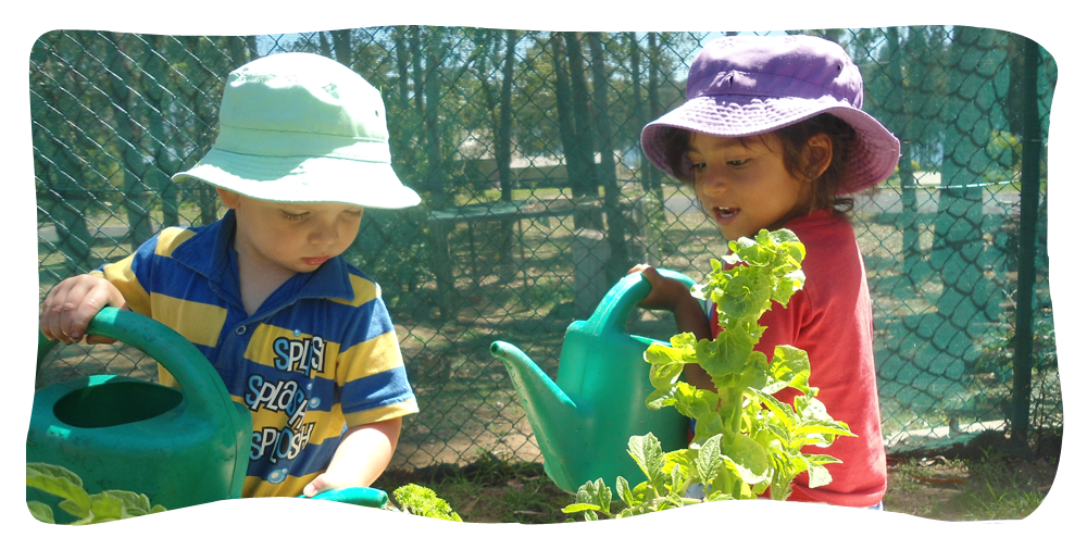 Bermagui Little Lambs Preschool